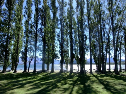 wanaka (45)